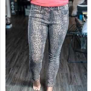 Snow Leopard Giselle